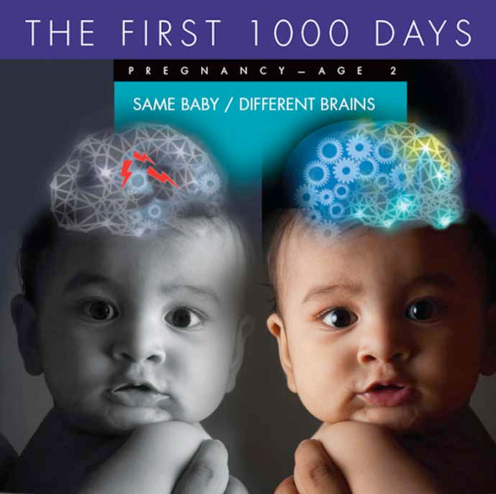 Split image of a baby showing brain development comparison. Left side: gray and underdeveloped brain. Right side: colorful and complex brain structure. Text: "The First 1000 Days: Pregnancy-Age 2, Same Baby/Different Brains." Highlighting the impact of prenatal care on early childhood development.