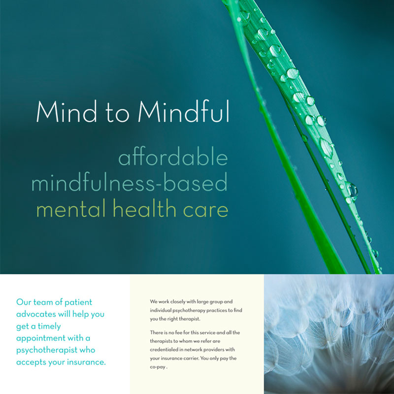 A flyer titled "Mind to Mindful" offering affordable mindfulness-based mental health care with details on patient advocacy and insurance coordination. Background features a close-up of a dewdrop-covered plant, symbolizing the serenity that mindfulness and meditation can bring. The Santa Rosa based design team at Studio B Creative can develop engaging original ideas for you.